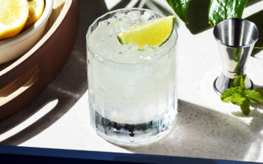 Het perfecte maken van een Margarita: Het ontdekken van de beste Tequila voor de klus
